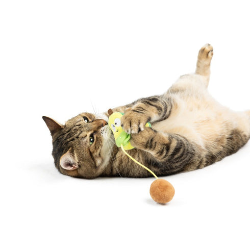Huxley & Kent Avocado Popper Cat Toy - Poudre Pet & Feed Supply 3
